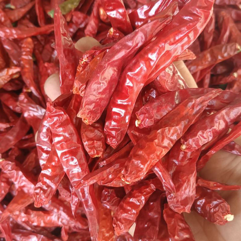 河南干辣椒，高辣精品中椒，产地直供，量大从优，全国包邮！