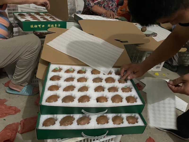园货冷库货精品翠香猕猴桃产地一手货源，价格依大桃比例
