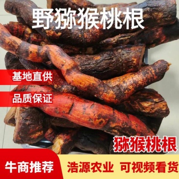 冷背药材野生猕猴桃根藤梨根产地一手货源量大从优可切片
