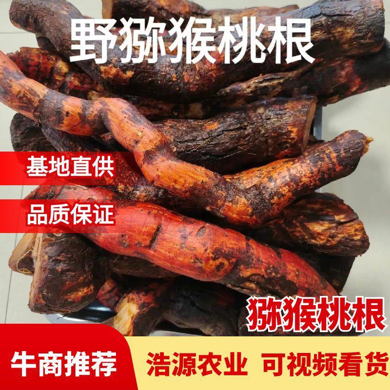 冷背药材野生猕猴桃根藤梨根产地一手货源量大从优可切片