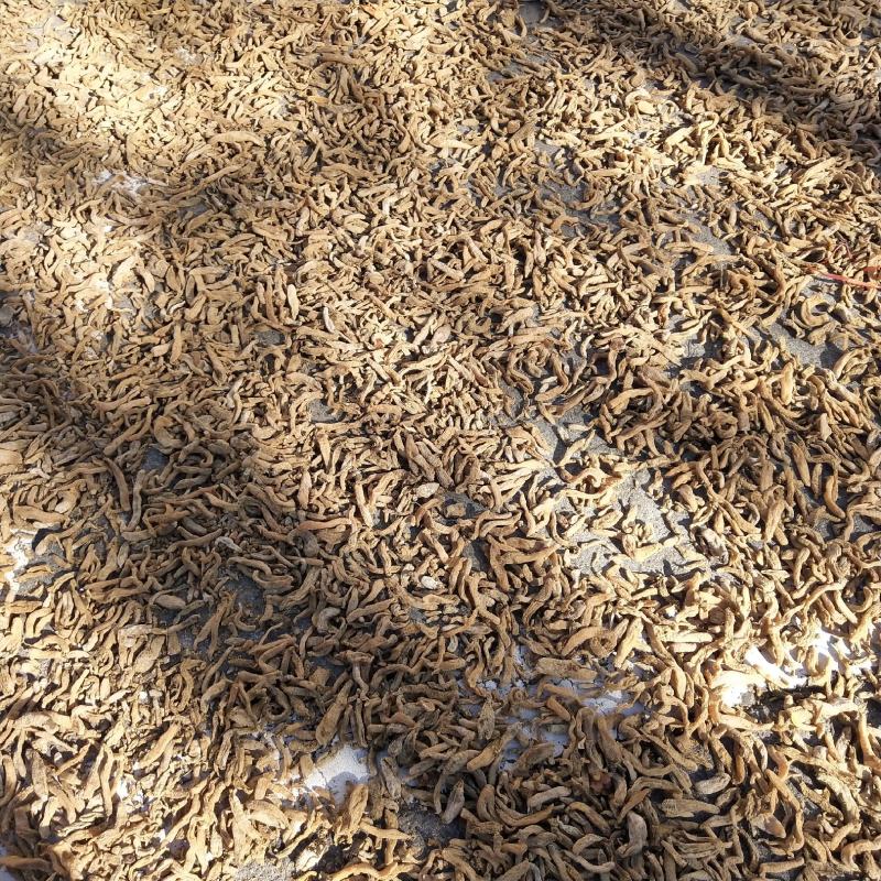 天麻(统货干品)，金寨县产地直发，无硫，包邮！