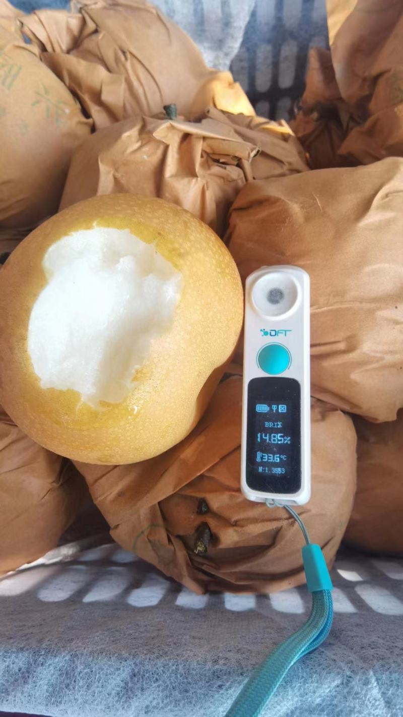 秋月梨