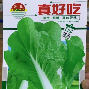 白菜种子真好吃耐热耐寒四季可播种脆嫩无纤维品质好