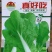 白菜种子真好吃耐热耐寒四季可播种脆嫩无纤维品质好
