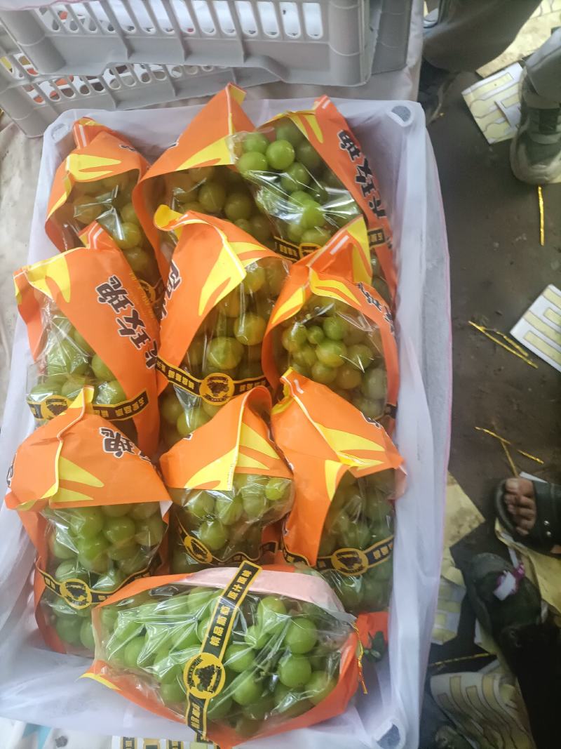阳光玫瑰葡萄