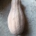精品蜜本南瓜