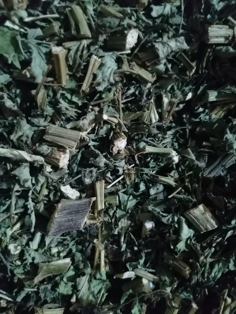 鬼针草饮片鲜切金盏银盘