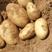 陕北沙地土豆，希森，沃土，V7，226，实验一，欢迎来电