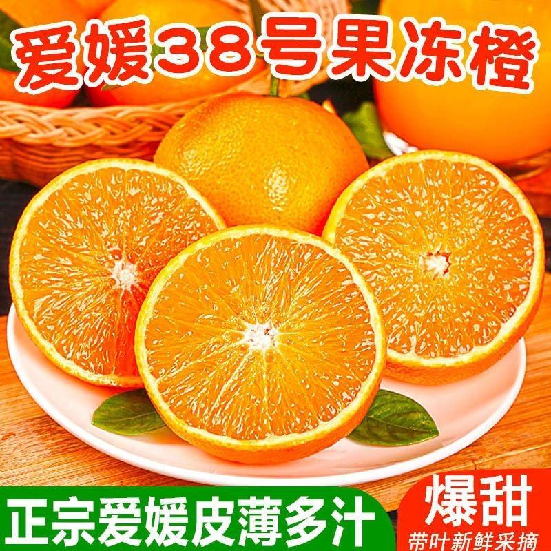 爱媛38号果冻橙柑桔脐橙甘甜多汁眉山产地对接市场电商价低