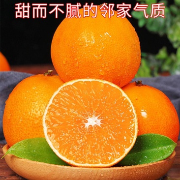 爱媛38号果冻橙柑桔脐橙甘甜多汁眉山产地对接市场电商价低