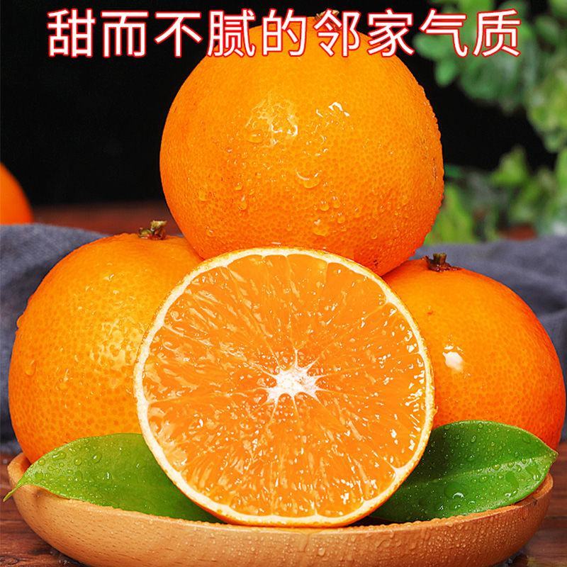 爱媛38号果冻橙柑桔脐橙甘甜多汁眉山产地对接市场电商价低