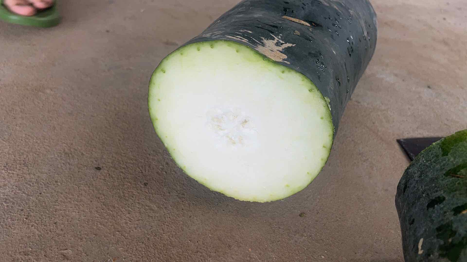 新鲜黑皮冬瓜切开后洁白多汁