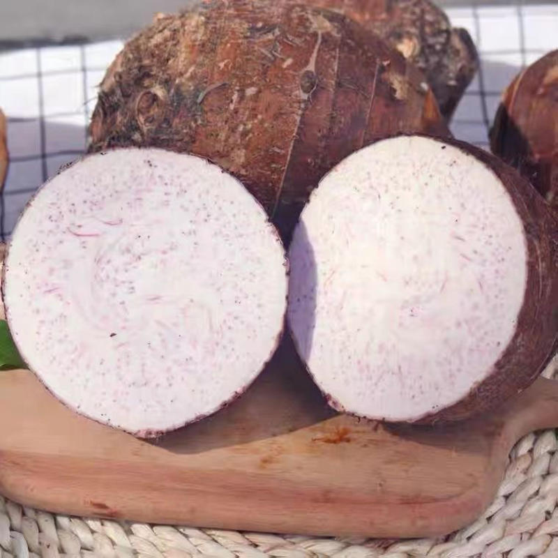 江西槟榔芋荔浦芋头产地直发代收代发品质保障
