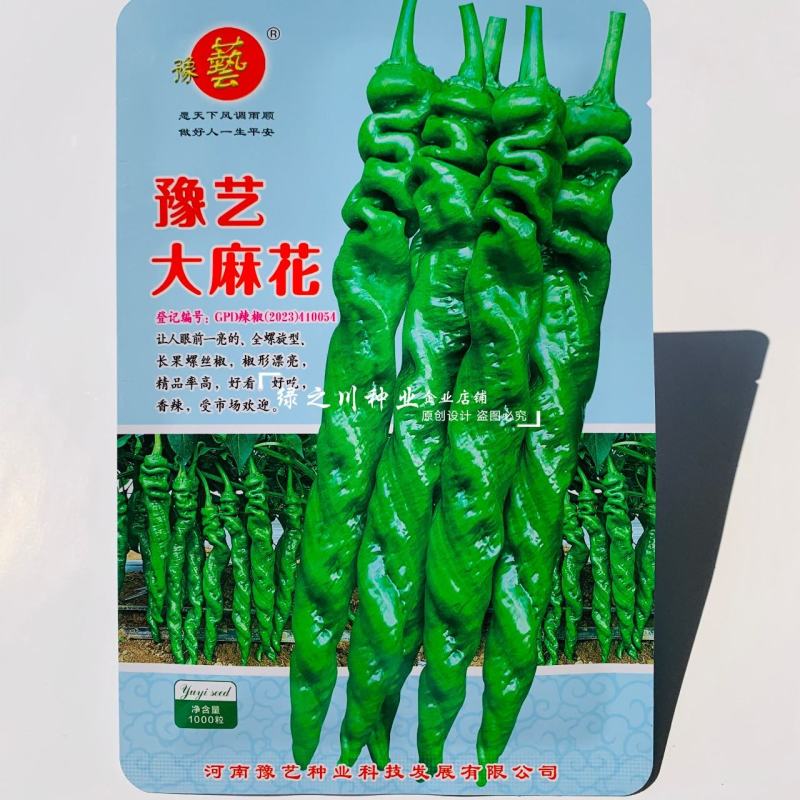 高秧螺丝椒种子真正的大陇椒豫艺大麻花螺丝椒种子全螺型