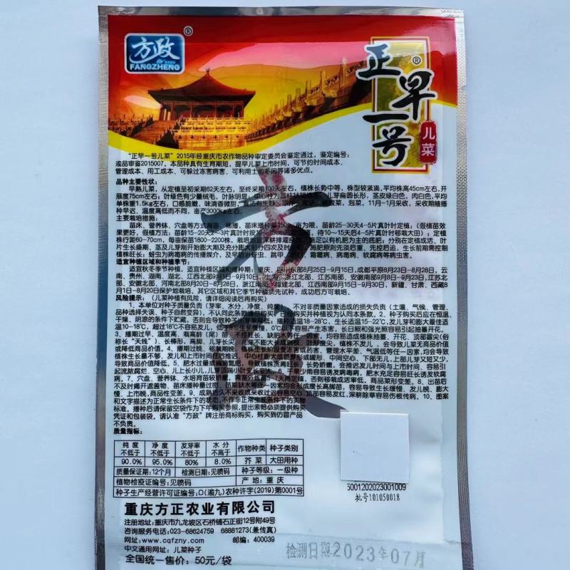 正早一号儿菜种子早熟儿大清香微甜脆嫩膨大速度快上市早