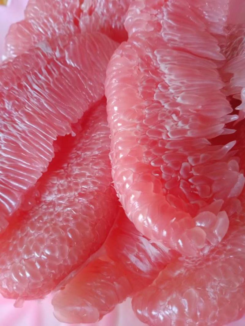 红心柚