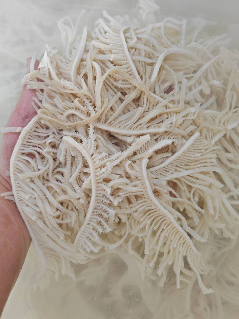 精品千层质量好，精品千层质量好，精品千层质量好，