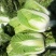 白菜黄心白菜湖北白菜精品白菜新鲜白菜保质保量