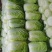 白菜黄心白菜湖北白菜精品白菜新鲜白菜保质保量