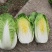 白菜黄心白菜湖北白菜精品白菜新鲜白菜保质保量