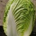 白菜黄心白菜湖北白菜精品白菜新鲜白菜保质保量