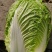 白菜黄心白菜湖北白菜精品白菜新鲜白菜保质保量