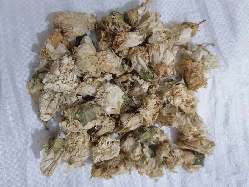 木槿花，货好量大，产地一手货源，无硫实拍现货