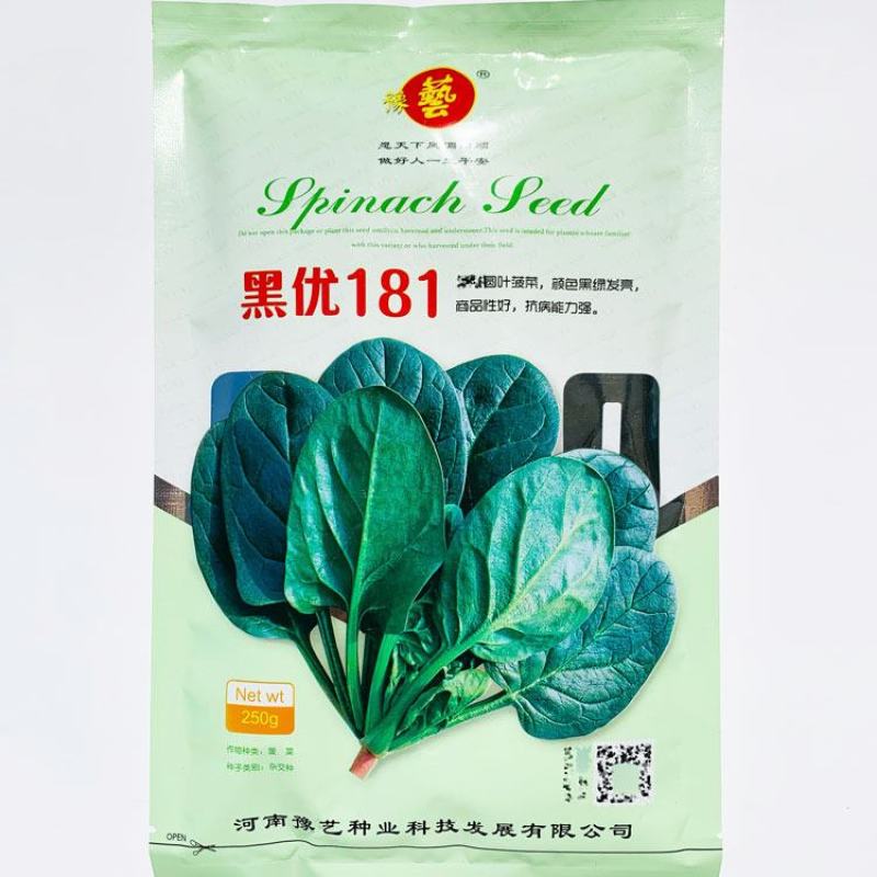 黑优181雄霸无霜黑圆叶菠菜种子耐寒抗病直丹麦进口菠菜种