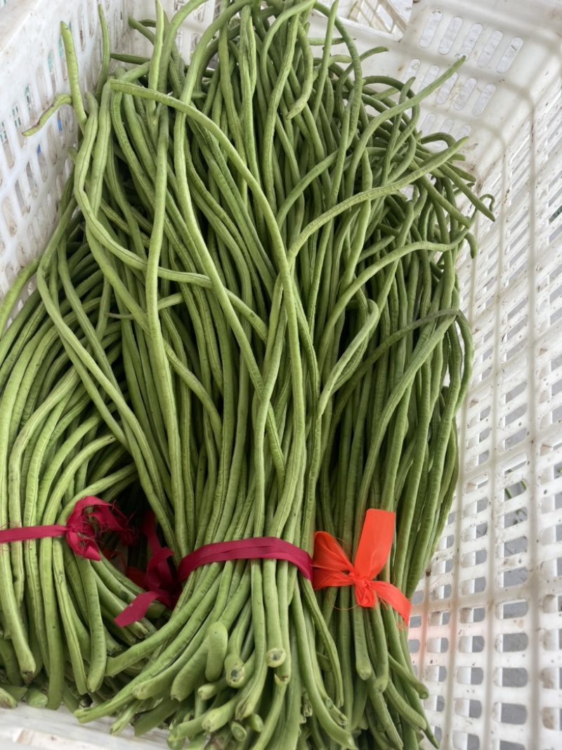 豆角豇豆长豆角豇豆长豇豆红豆角东台长豆