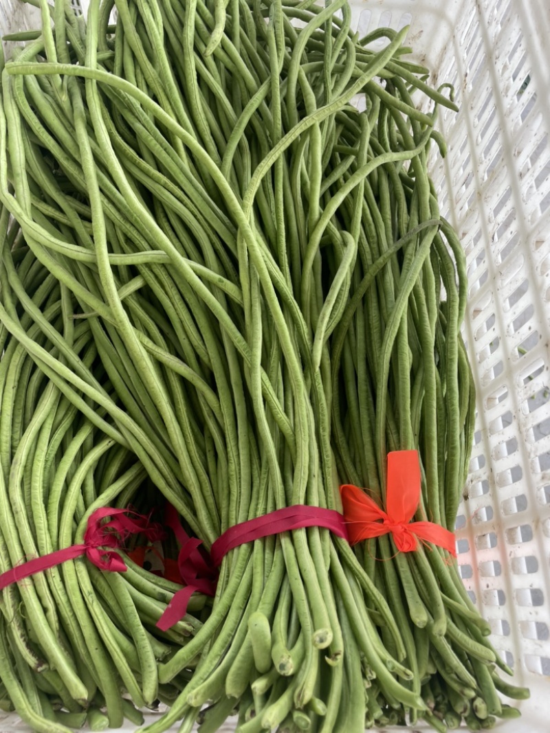 豆角豇豆长豆角豇豆长豇豆红豆角东台长豆