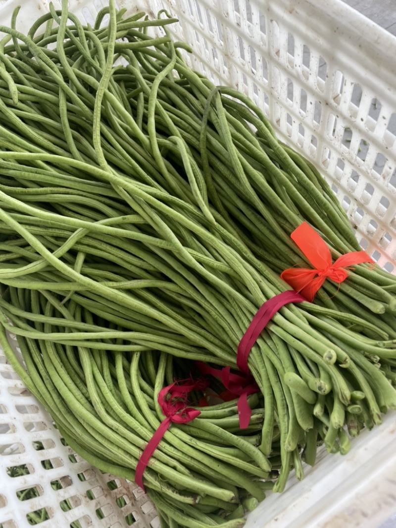 豆角豇豆长豆角豇豆长豇豆红豆角东台长豆