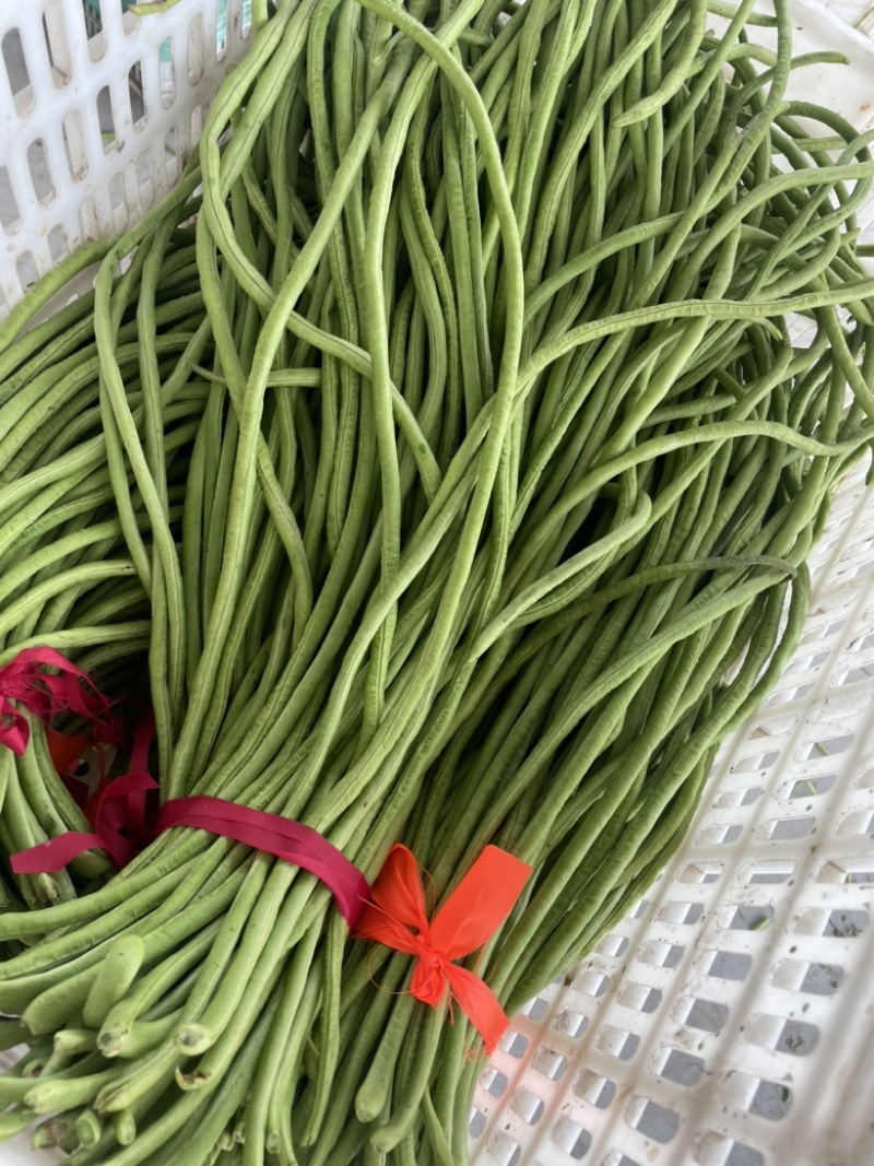 豆角豇豆长豆角豇豆长豇豆红豆角东台长豆
