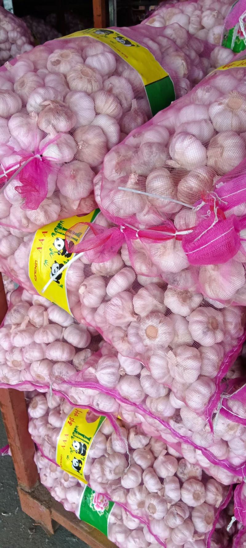 山东紫皮大蒜，白皮大蒜大量供应。产地一手货源。价格美丽