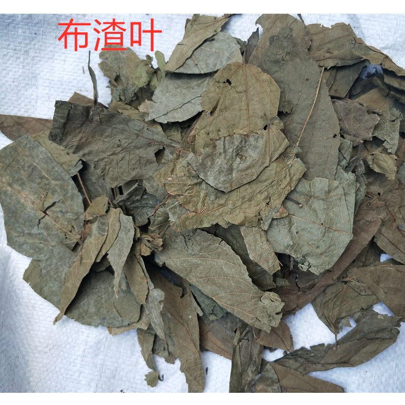 布渣叶无硫新货产地一手货源现货24小时内发货
