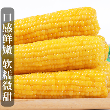 玉米真空黄糯玉米厂家直供质量稳定多规格可代发