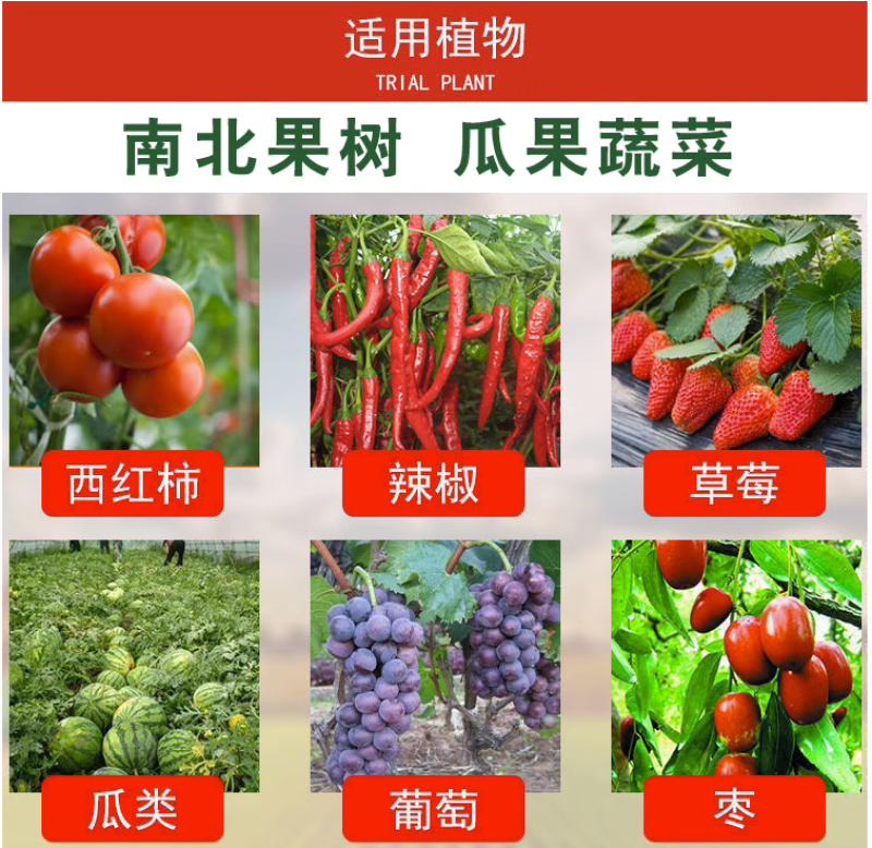 红翻天草莓葡萄番茄樱桃辣椒增红上色催红着色膨果防裂