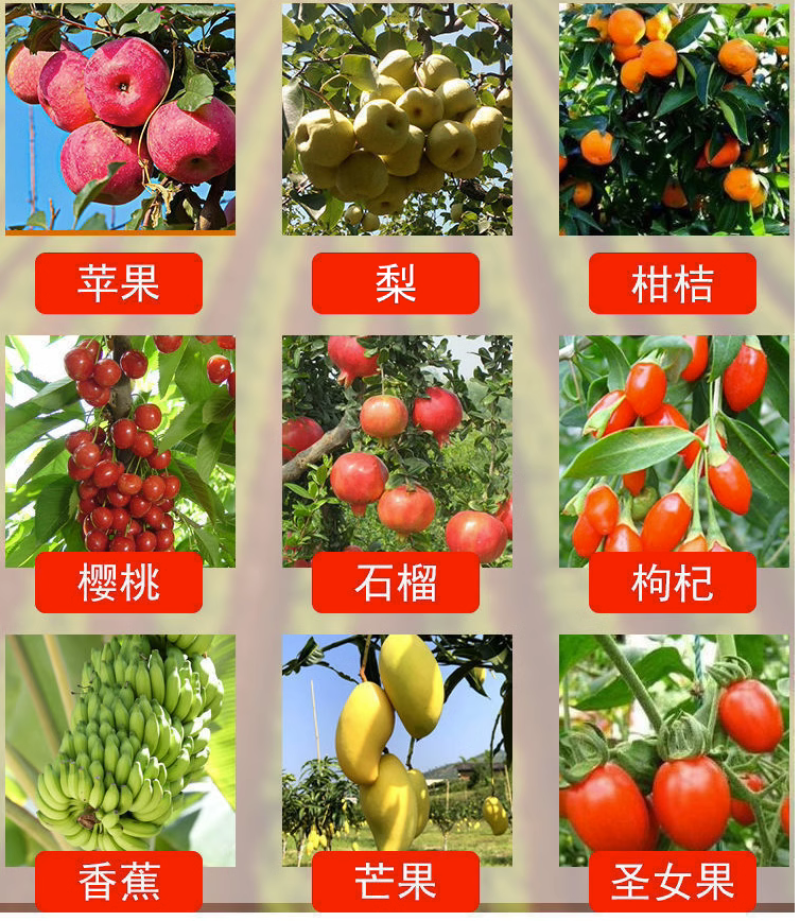 红翻天草莓葡萄番茄樱桃辣椒增红上色催红着色膨果防裂