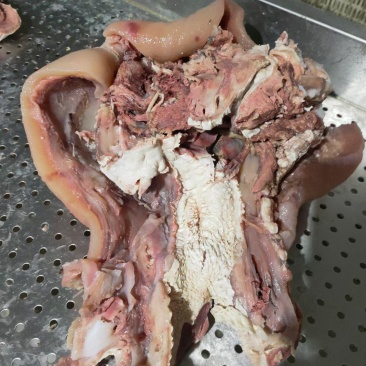 熟牛头肉！诚信第一！以质量求生存！客户至上！质量保证