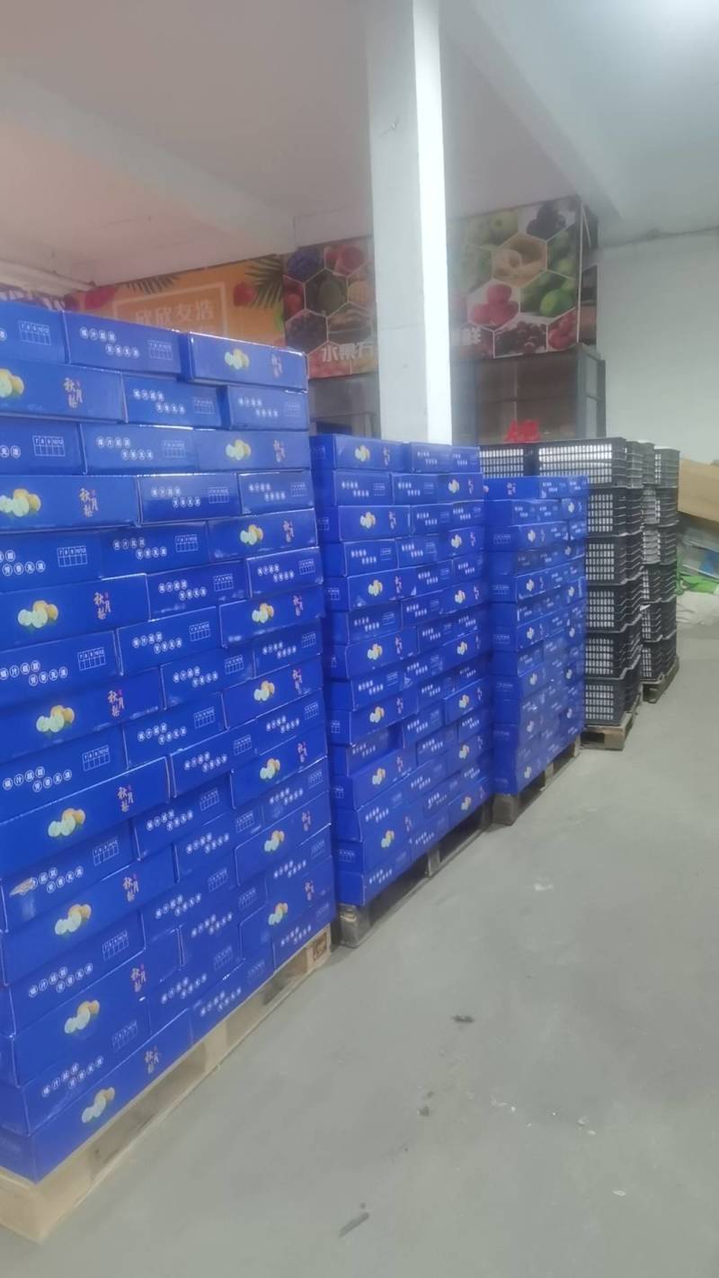 爆甜正宗秋月梨大量上市
