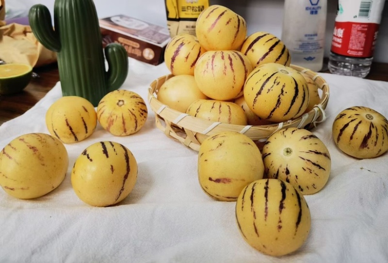 云南石林人参果七彩圆果大果对接电商平台一件代发