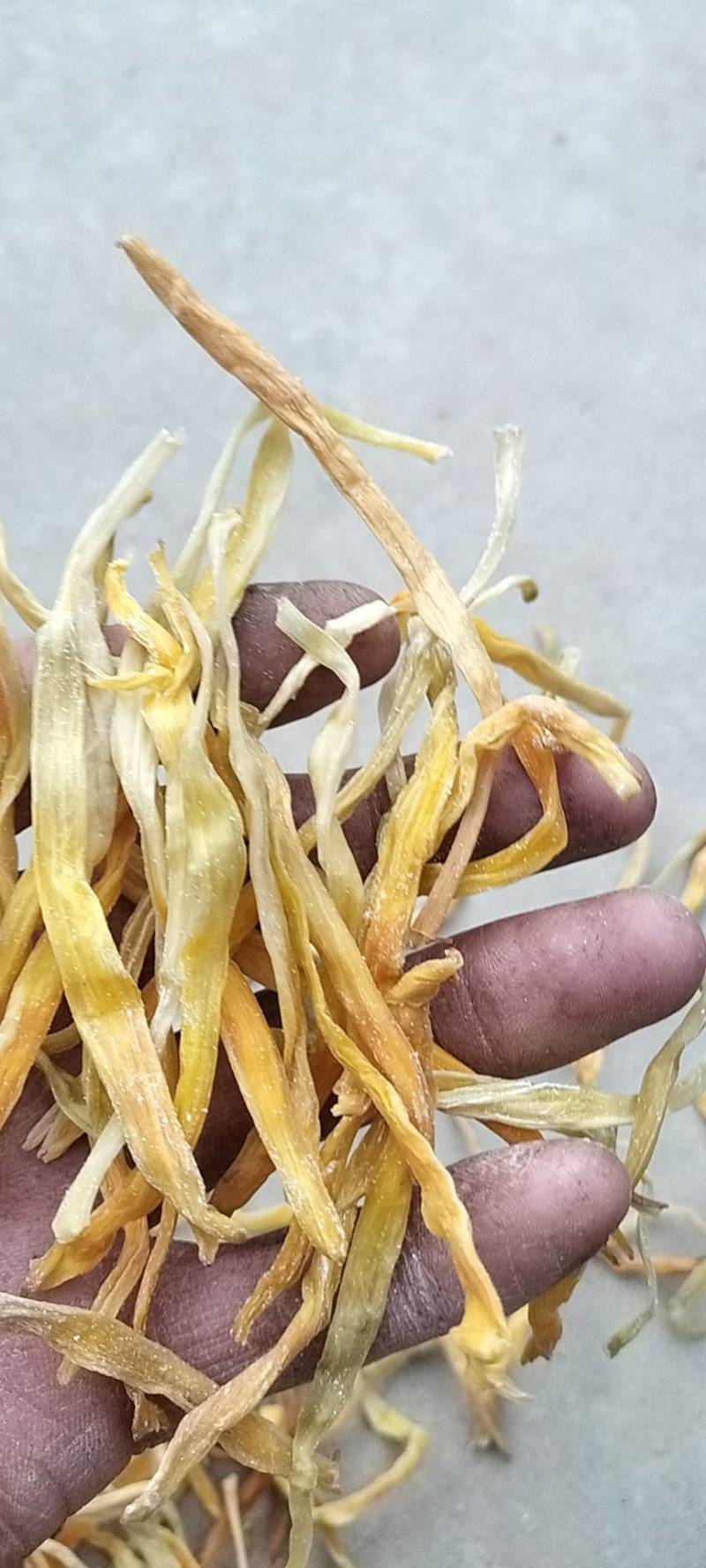 包邮，脱水黄花菜，，保质保量保退换。