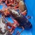 炮头小龙虾潜江清水小龙虾可对接酒店连锁虾馆