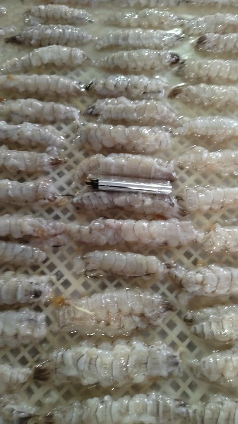 皮皮虾肉整齐，大肉，不碎