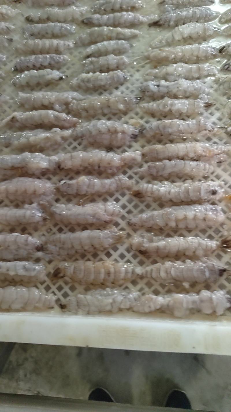 皮皮虾肉整齐，大肉，不碎