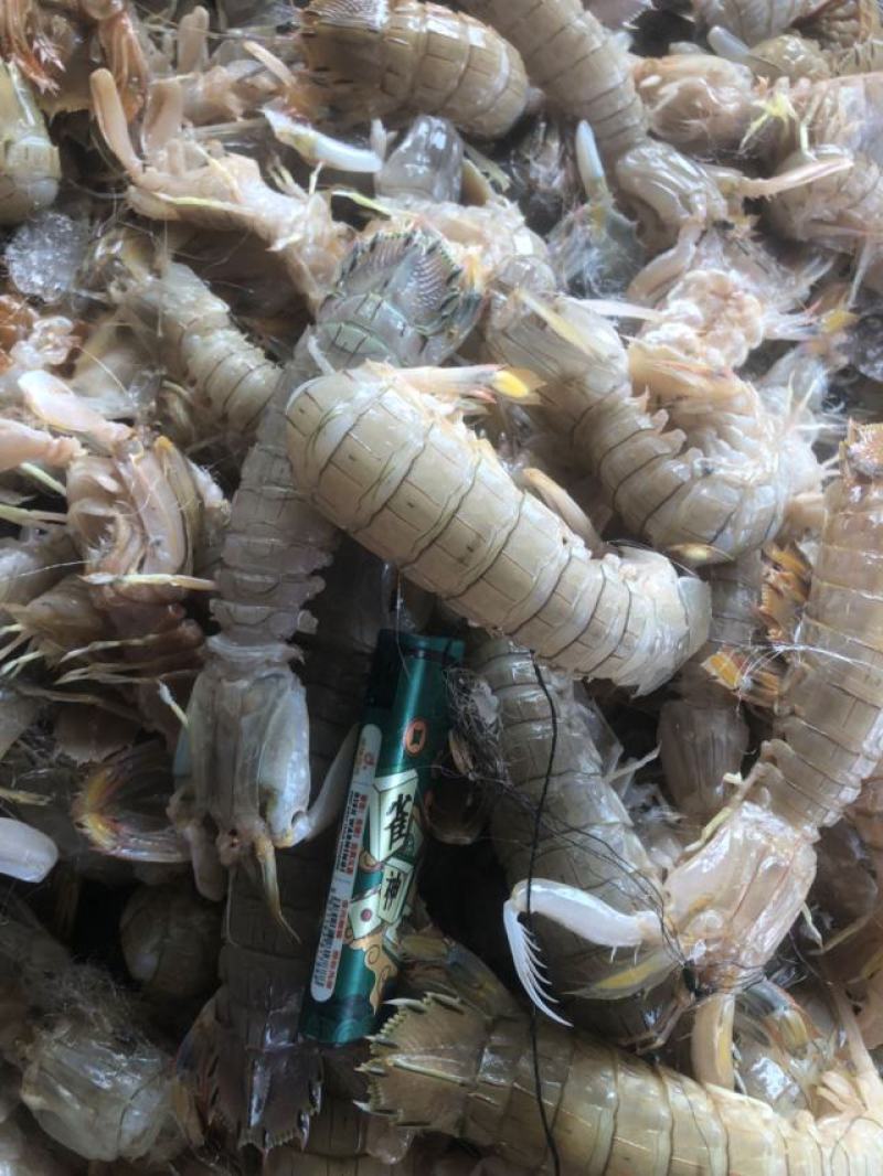 皮皮虾肉整齐，大肉，不碎