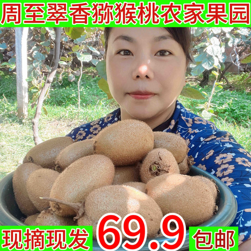 陕西周至翠香猕猴桃奇异果农家果园现摘现发5/9斤包邮