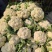 全国多产区代发有机菜花-松花菜-散花2-4斤山东淄博高青