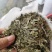 2023年青绿色，浓味清香，无枝干艾叶，大量批发，一手货