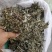 2023年青绿色，浓味清香，无枝干艾叶，大量批发，一手货