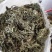 2023年青绿色，浓味清香，无枝干艾叶，大量批发，一手货
